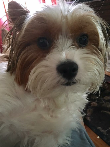 BENNY