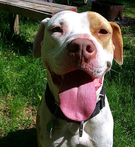 Nala