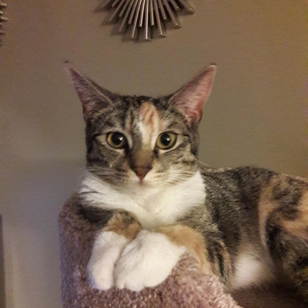 Penny