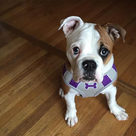 Ruby Sue