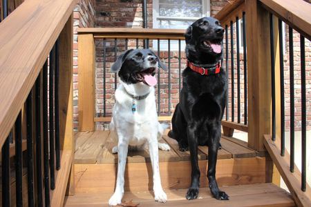 Cash and Ruby 