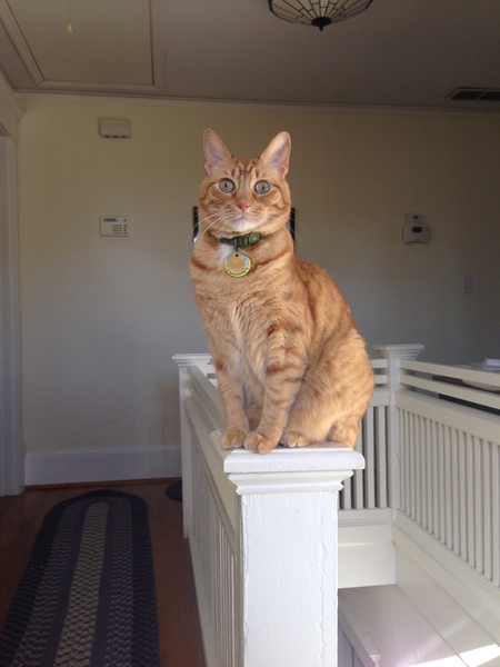 Sampson