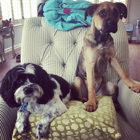 Henry and Holly