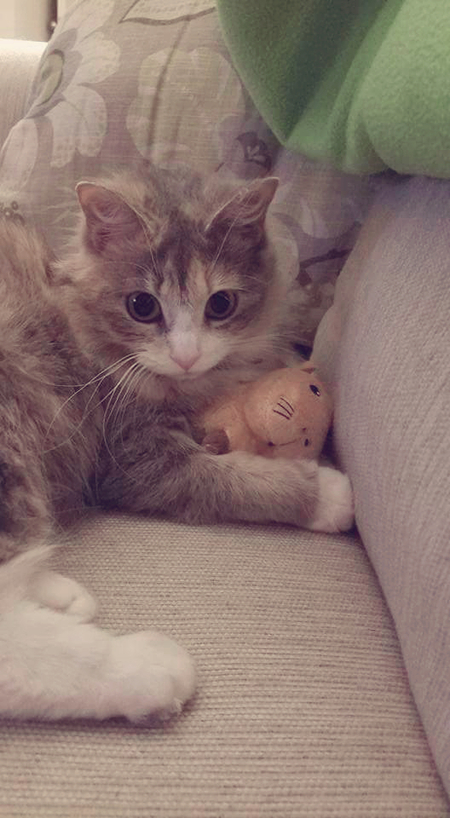 Mia