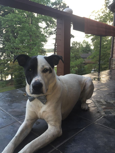 Max