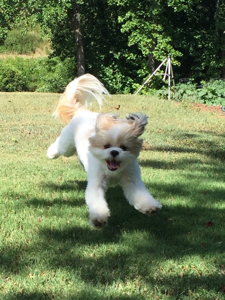 Bailey