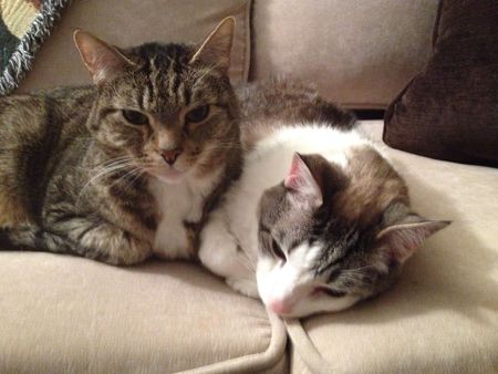 Bucky and Pickles