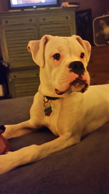 Mason 