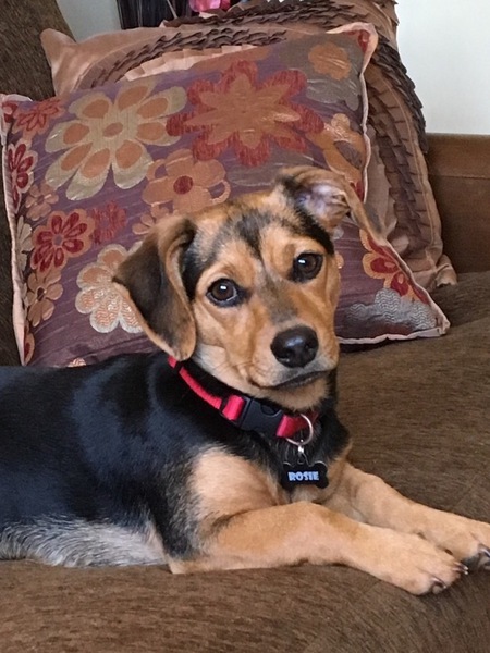 Rosie