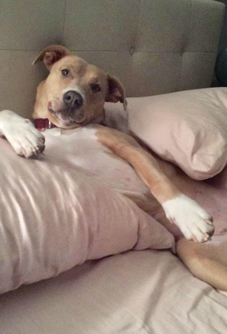 Nala