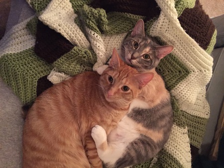 Gus & Dixie