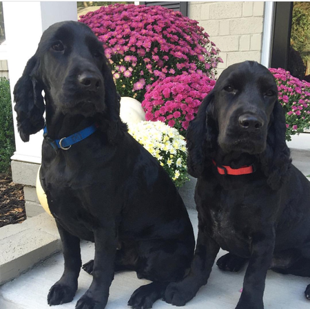 Sam and Gus