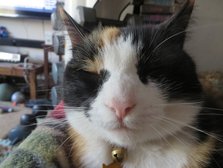 Princess