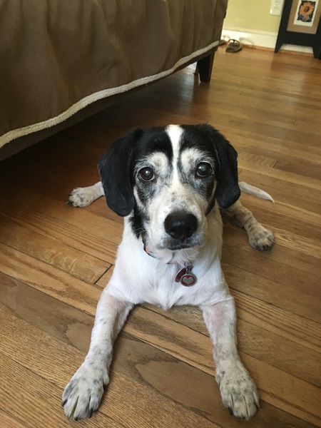 Pepper Sam
