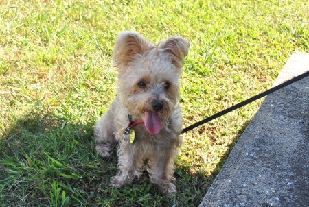 Maggie