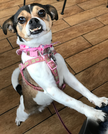 Cissie