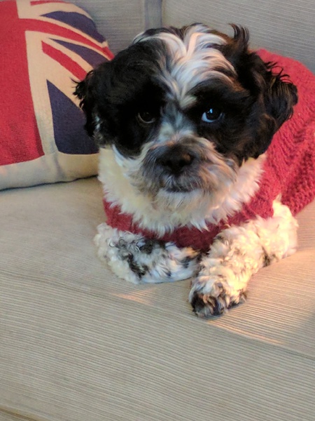 Sir Winston