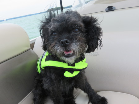 Wicket