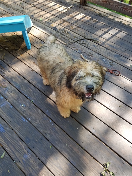 Otis