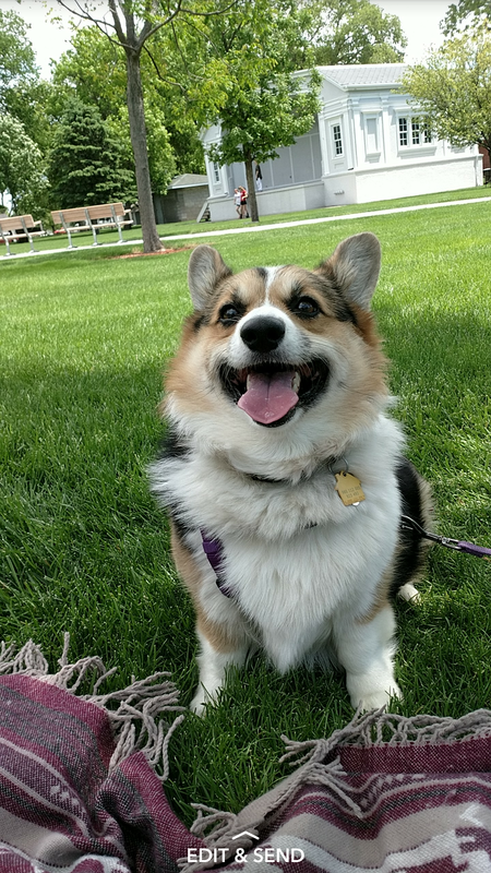 Bella