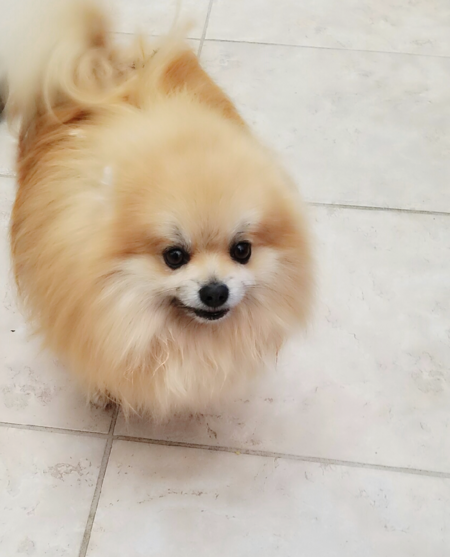 Rusty