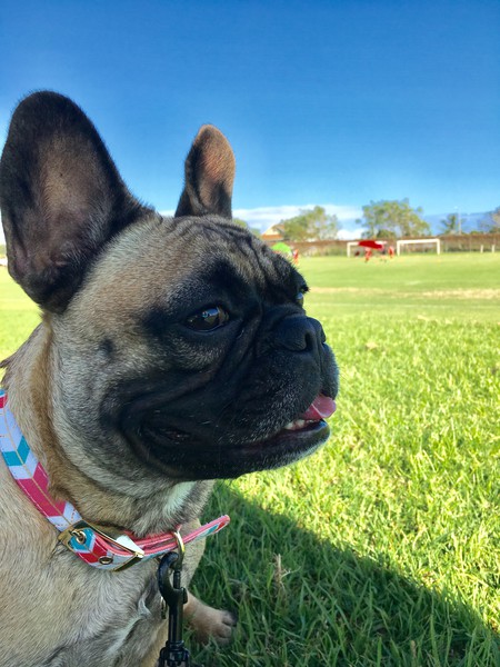 Kilo Girl