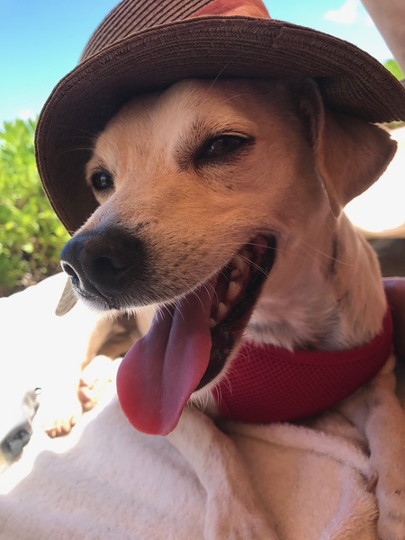 Bernie 