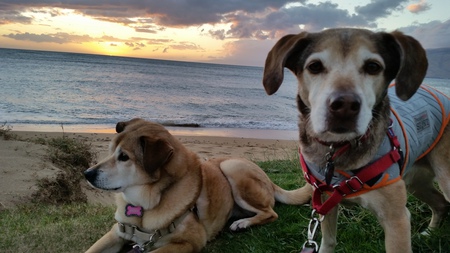 Aziza and Spaz