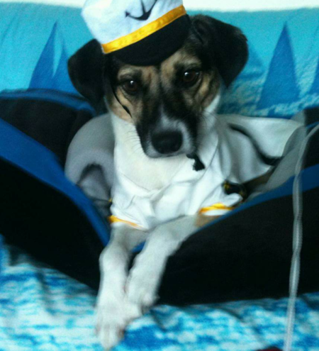 Baron von Too Cute