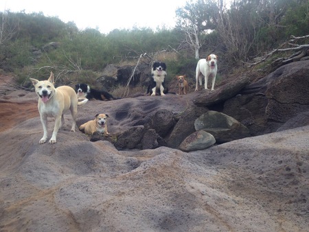 Riley and friends