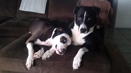 Pe'a and Piper