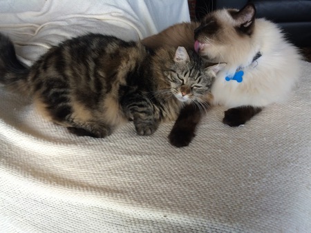Chloe and Boo