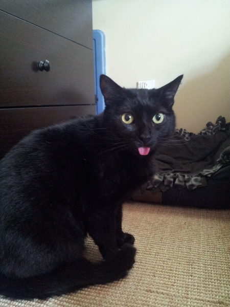 Nigel