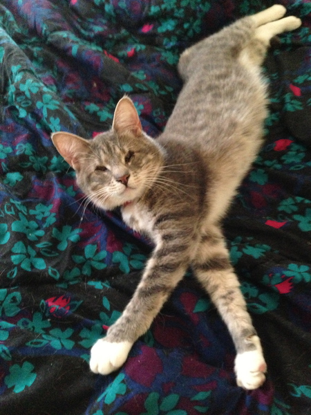 Penelope
