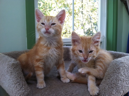 Holly and Peaches