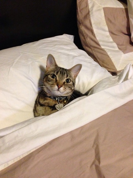 Nala