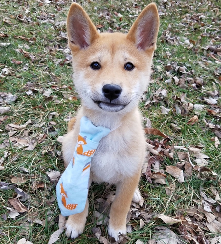 Kabocha (rescue name was Peanut Butter Pie)