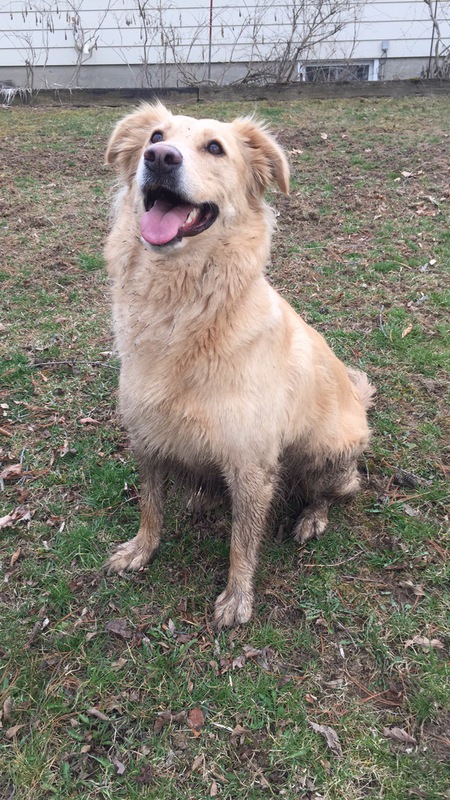 Sadie