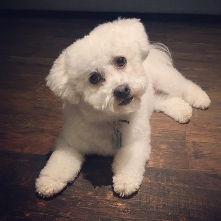 Roxie