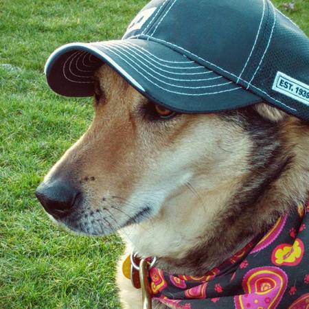Roxy