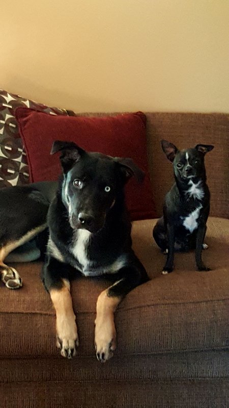 Tanner & Taz