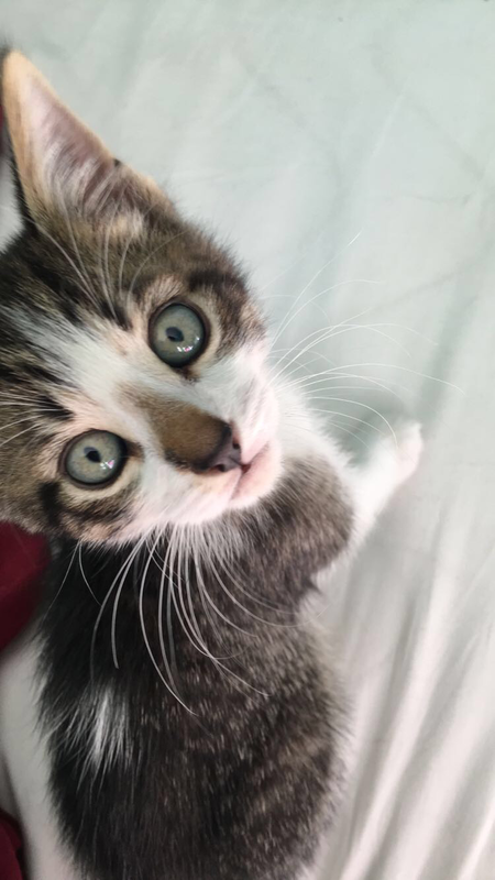 Charlie 