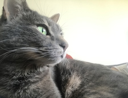 Juno