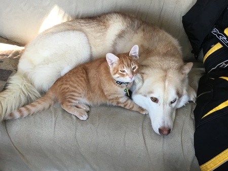Fitzy and macek 