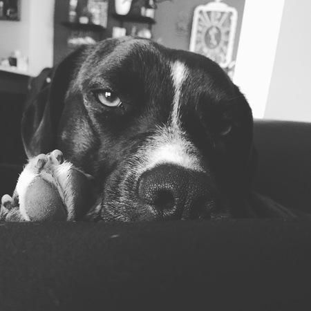 Jorja 