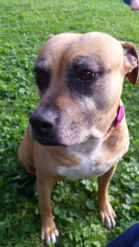 Bella