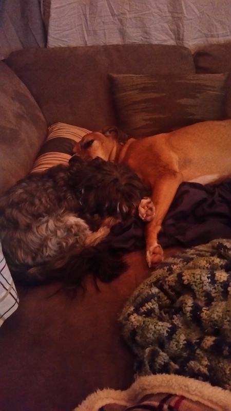Ziva & Sasha