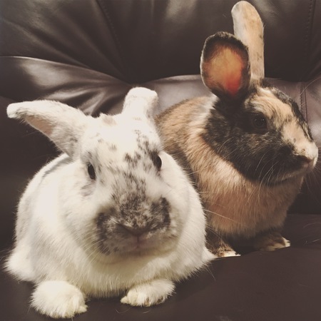 Olaf and Autumn