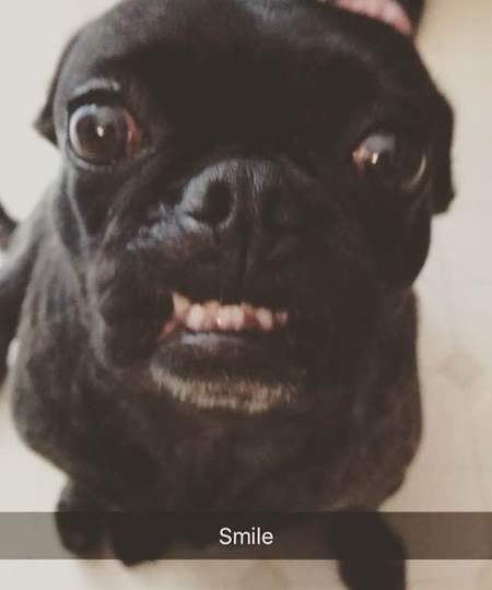 Penny