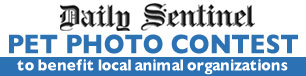 Logo for Daily Sentinel Pet Photo Contest